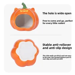 Nido cerámico en calabaza para hámsteres y roedores pequeños