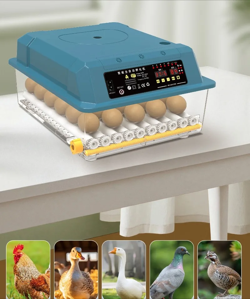Bandeja de huevos ajustable y compartimento de agua