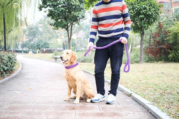Collar tejido de nailon y cadena P listo para ser colocado en el perro