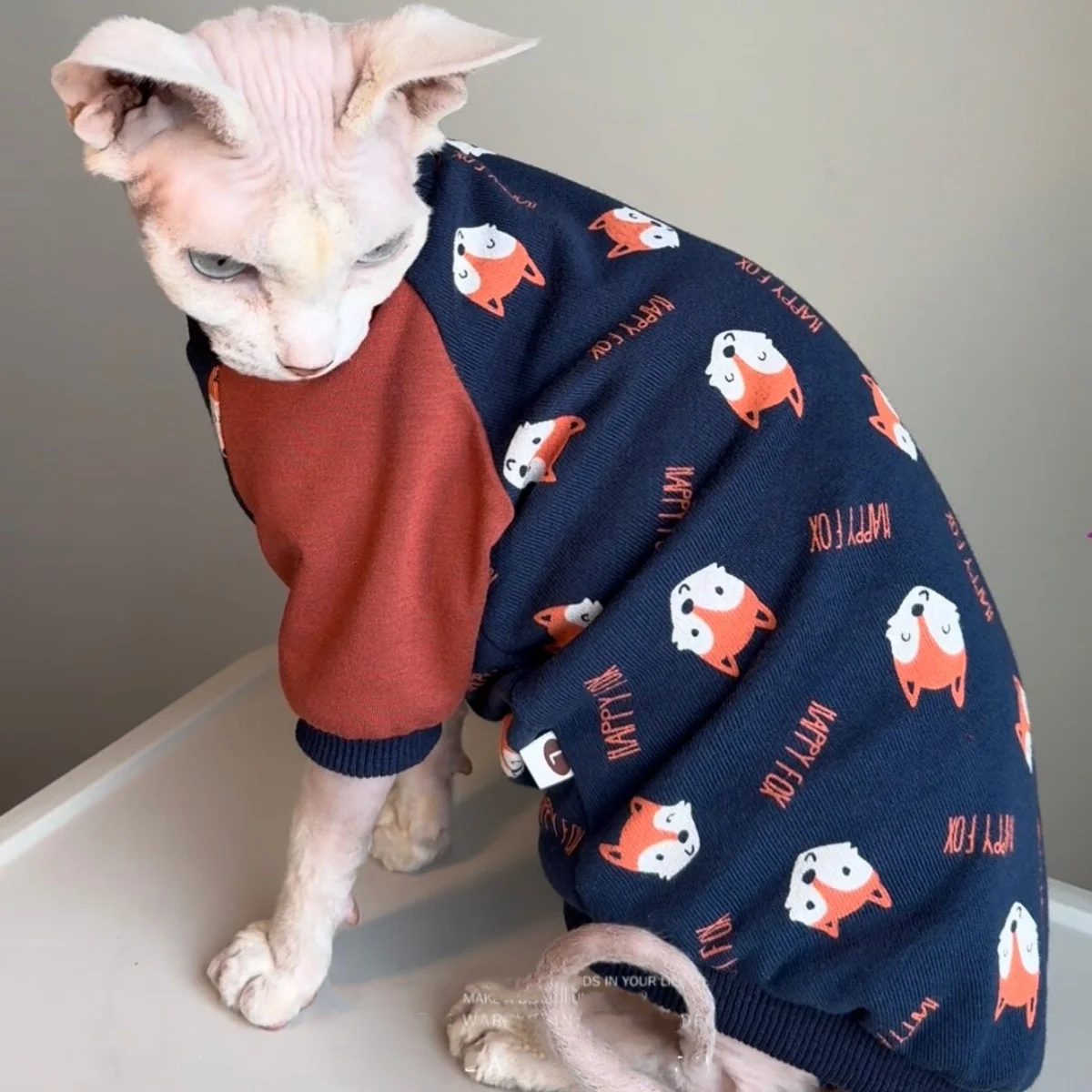 Camiseta elástica para gato Sphynx y Devon Rex en azul-rojo - imagen 4