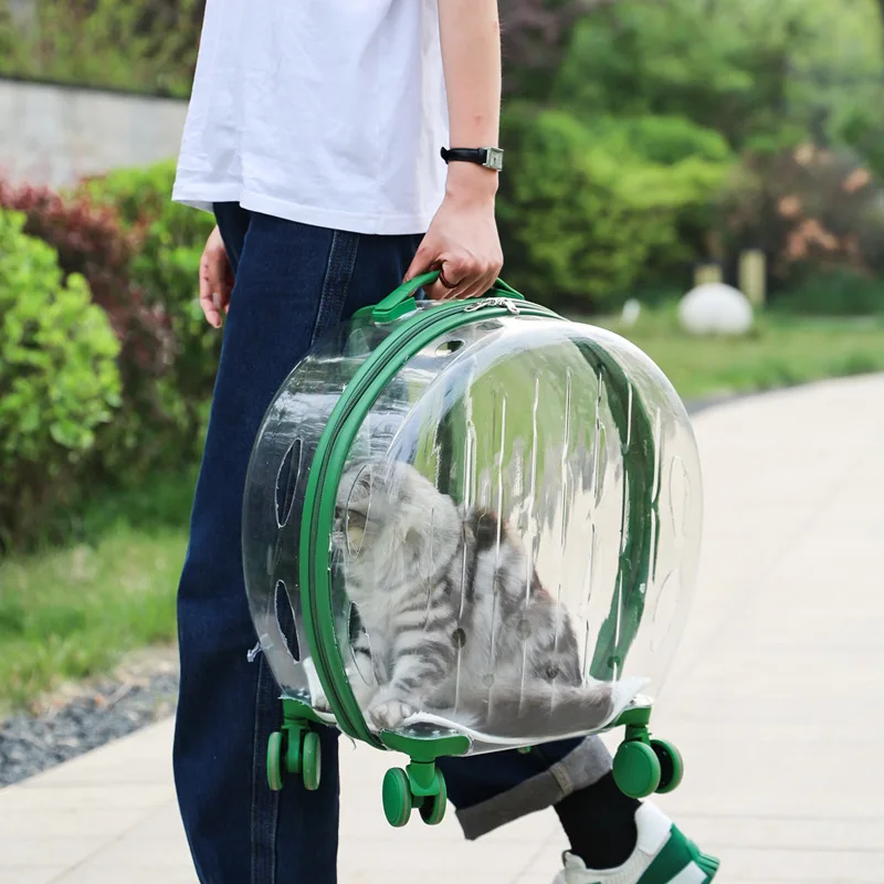 Transportín para gato transparente con ruedas, cómodo y ventilado - imagen 3