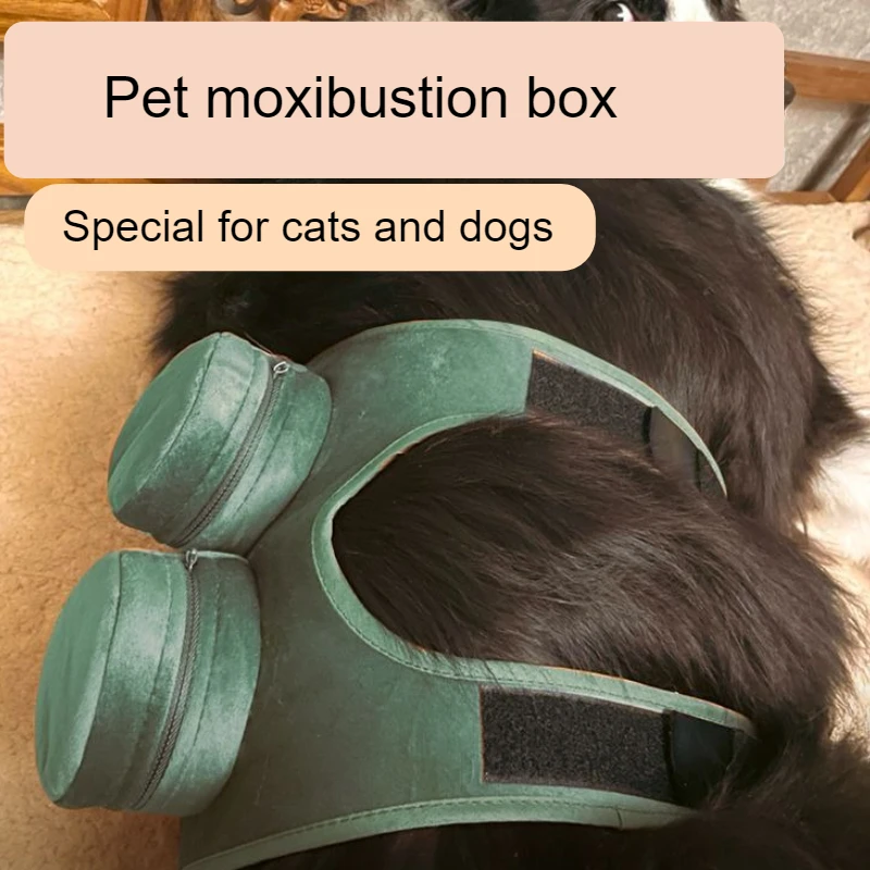 Ropa saludable para perros, bolsa para el cuidado de la salud, chaleco para perros, bolsas de almacenamiento para cachorros y gatitos, ropa, accesorios para perros y gatos, suministros para suéter - imagen 2