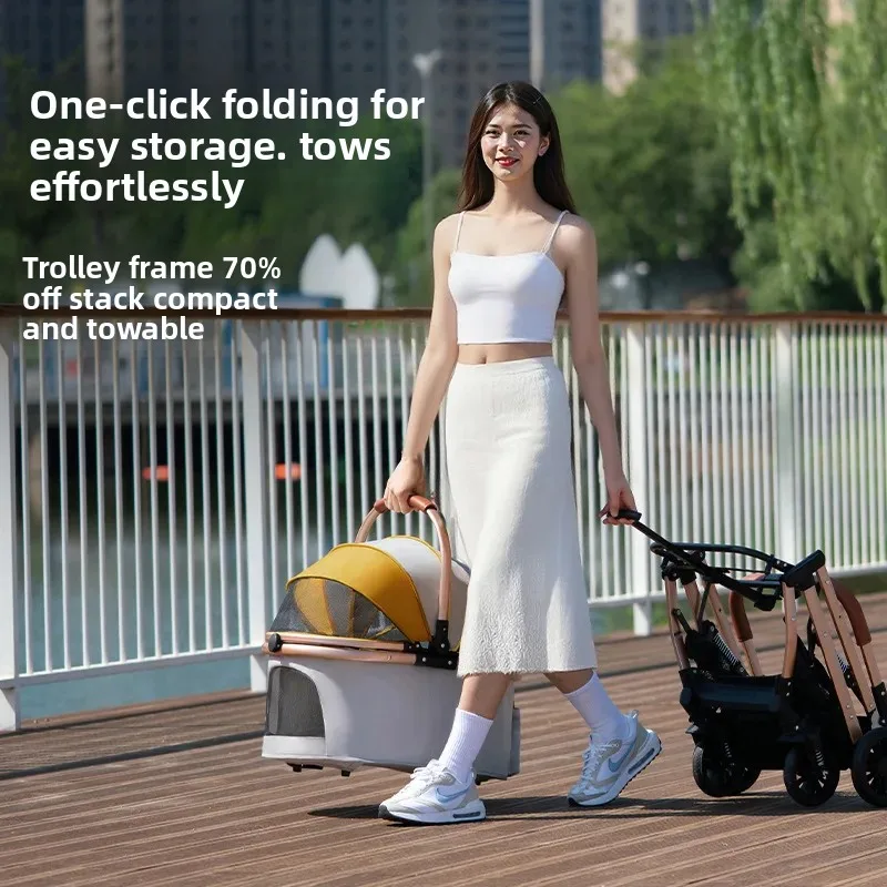 Transportín para perros pequeños y medianos – plegable portátil