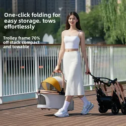 Transportín para perros pequeños y medianos – plegable portátil