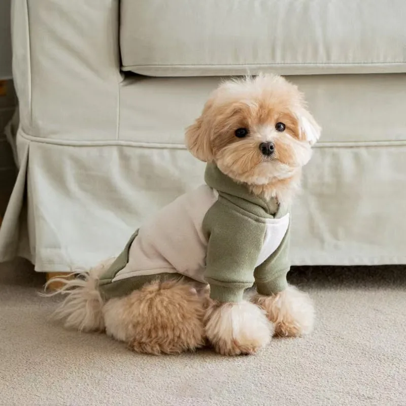 Sudaderas con capucha cálidas para perros, ropa de lana suave para mascotas para perros pequeños y medianos, ropa cómoda para cachorros, disfraces de Yorkshire Chihuahua, suministro para mascotas - imagen 2