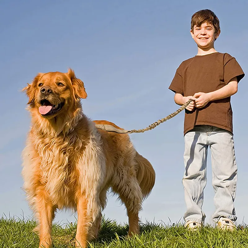 Collar táctico de entrenamiento para perros de policía, correa resistente, accesorios para mascotas para perros medianos y grandes, collares Rottweller belgas Malinois - imagen 4