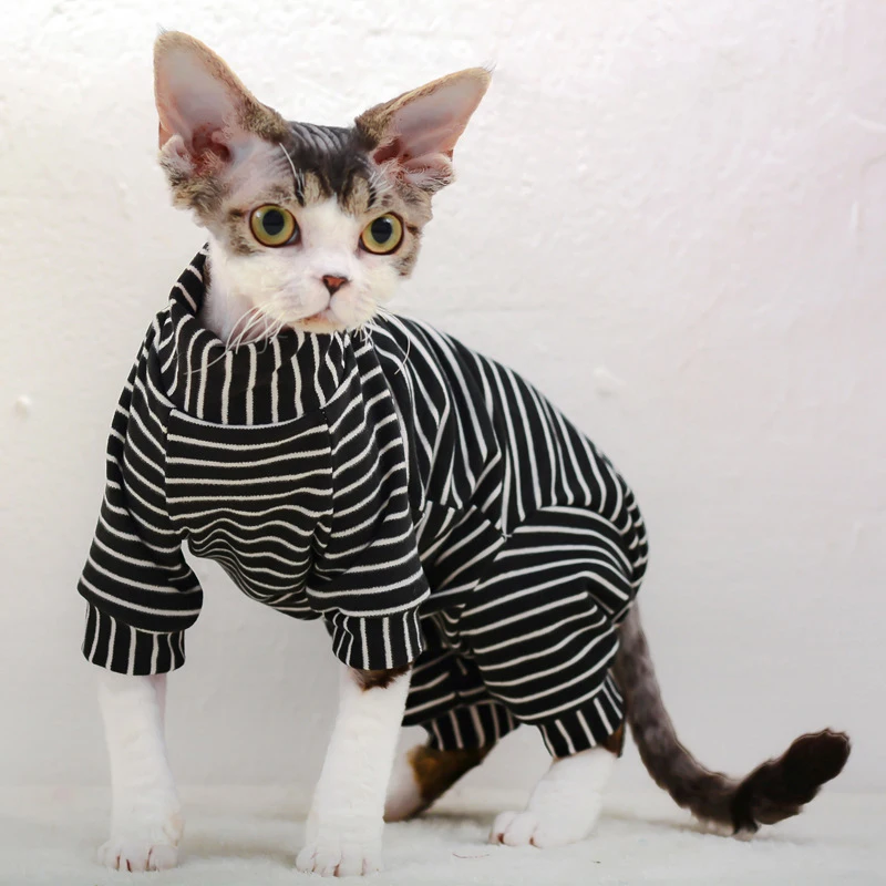 Sphynx-Mono de algodón con capucha para gato, ropa cálida para invierno, Disfraces para esfinge - imagen 3