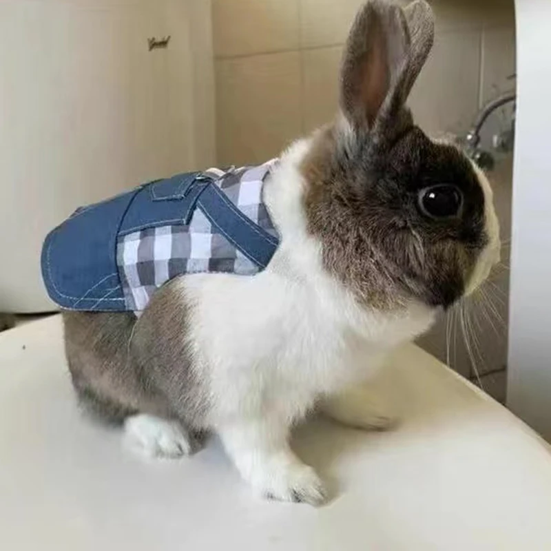 Arnés para mascotas con animales pequeños para caminar, conejos Chinchillas, conejitos vaqueros, conejillos de indias, correa holandesa, accesorios para mascotas - imagen 3