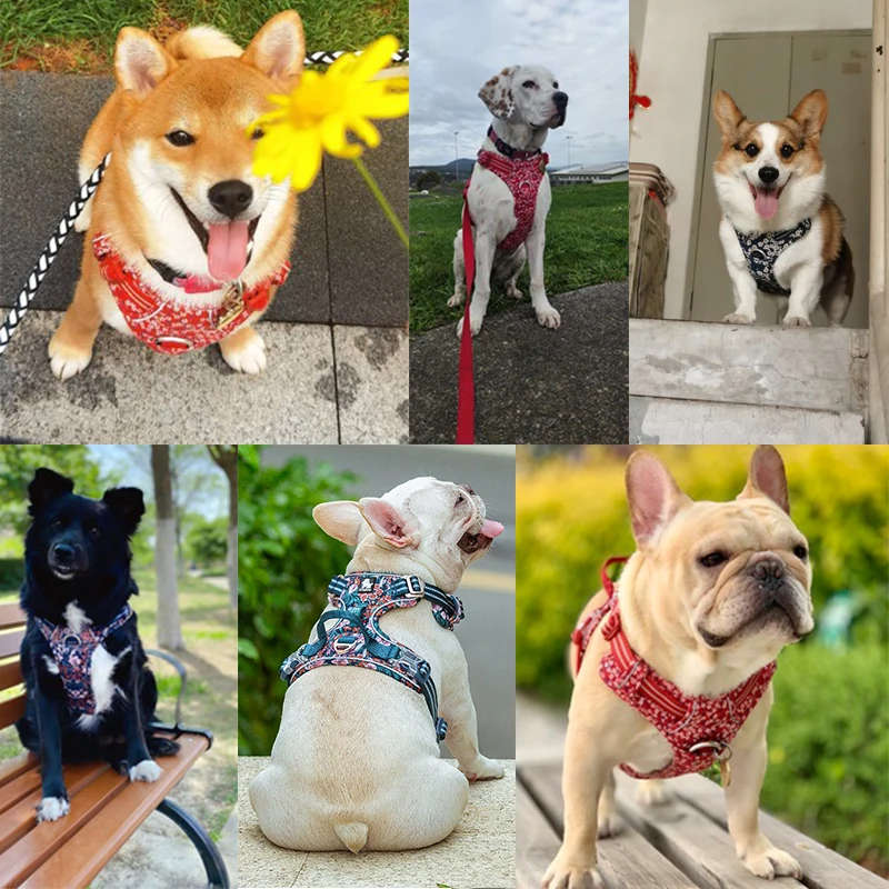 Arnés para Perro Antiescape Reflectante con acolchado de algodón - imagen 3