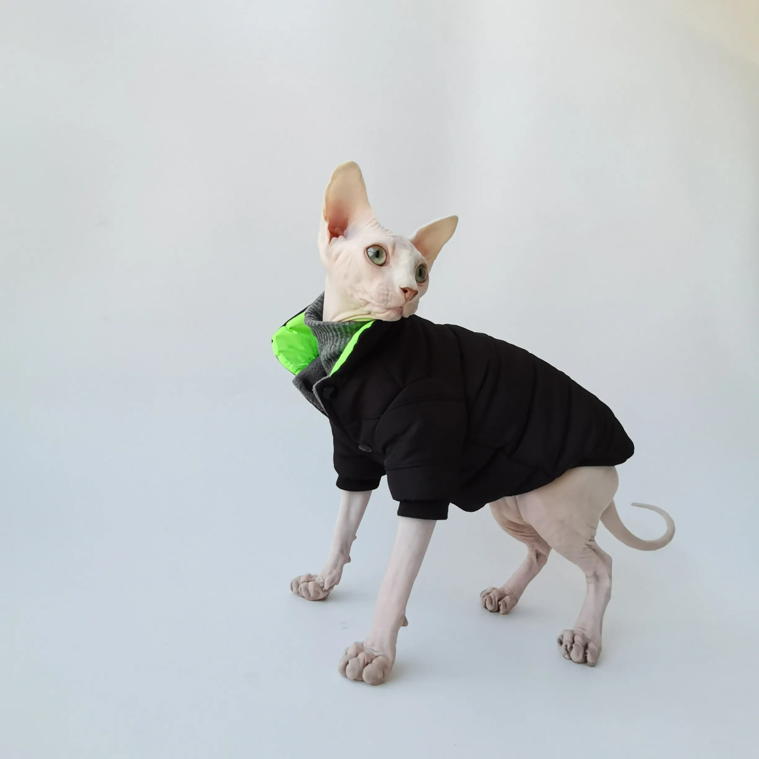 Chaqueta de invierno para gatos Sphynx y Devon Rex – Cuello alto - imagen 4
