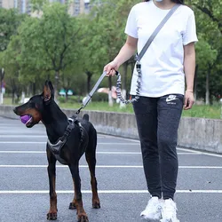 Correa extensible elástica para perros – Resistente y cómoda