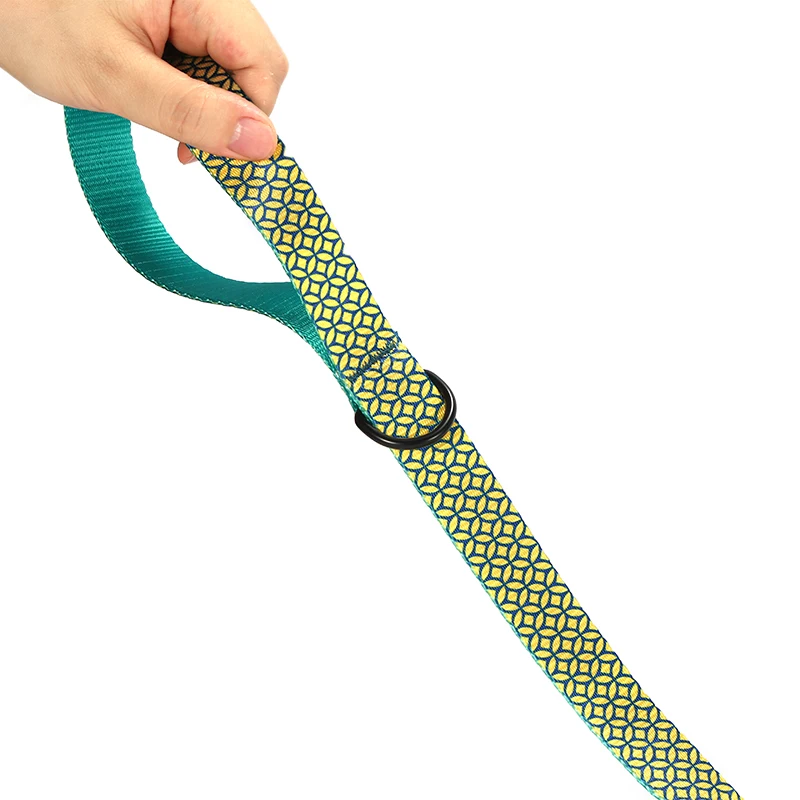 PLATTCO Correa para perros grande, mediana y pequeña, de diseño único, MONEDAS DE SEGURIDADES, hebilla de aleación de zinc de alta calidad, 5 tamaños PDL305 - imagen 5