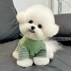 Camiseta suave fina de verano para perros pequeños y gatos
