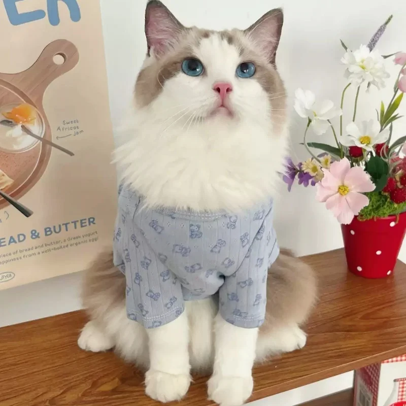 Camisa suave y cálida para perros, ropa a la moda para perros, camisa con parte inferior para cachorros y mascotas, jerséis con estampado de oso para gatos, sudaderas para mascotas, ropa para caniche - imagen 3