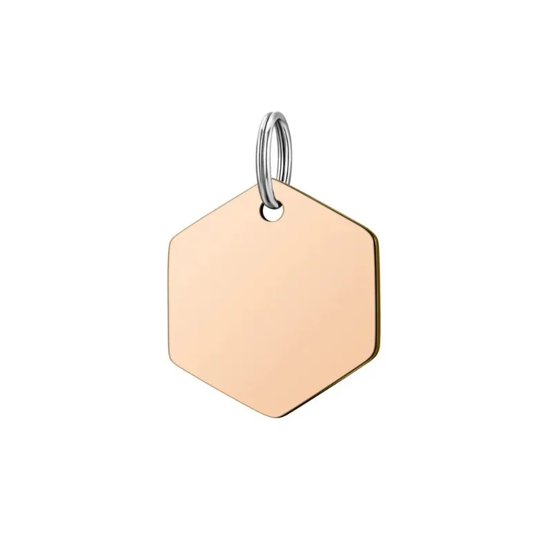Etiqueta colgante Hexagonal de acero inoxidable para perro, etiqueta de identificación con nombre personalizado, placa de identificación personalizada, regalo antipérdida, adecuada para perros pequeños, 1 ud. - imagen 5