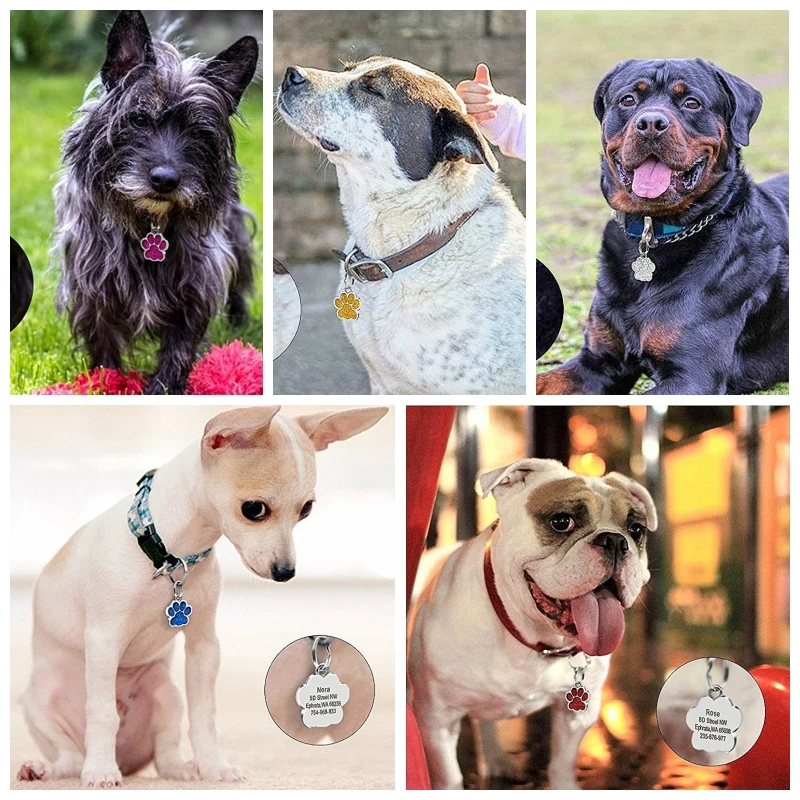 Etiquetas de dirección personalizadas para mascotas, etiqueta de identificación personalizada para perros, gatos, Collar grabado, colgante, nombre, etiqueta para perro, accesorios para perros, artículos para gatos - imagen 2