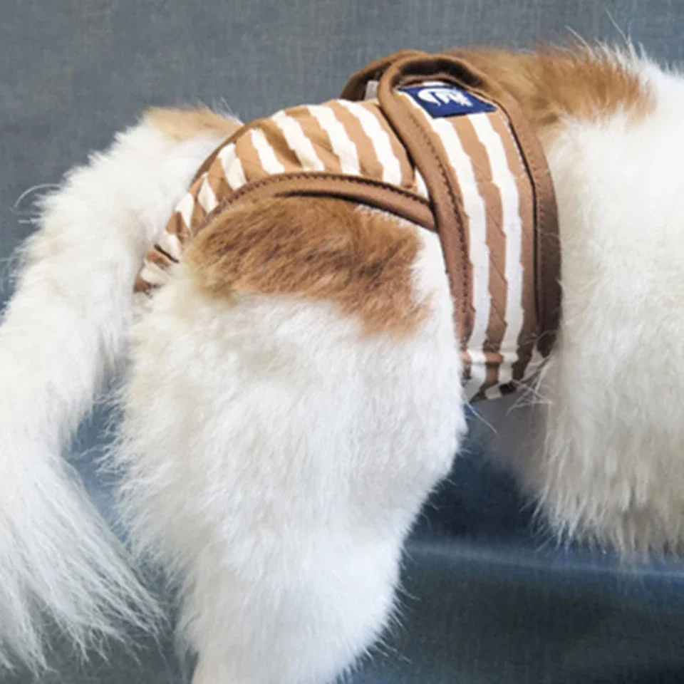 NONOR-pantalones cortos lavables para perro, bragas para menstruación, ropa interior, mono, pantalón fisiológico para mascotas, pañal sanitario - imagen 2