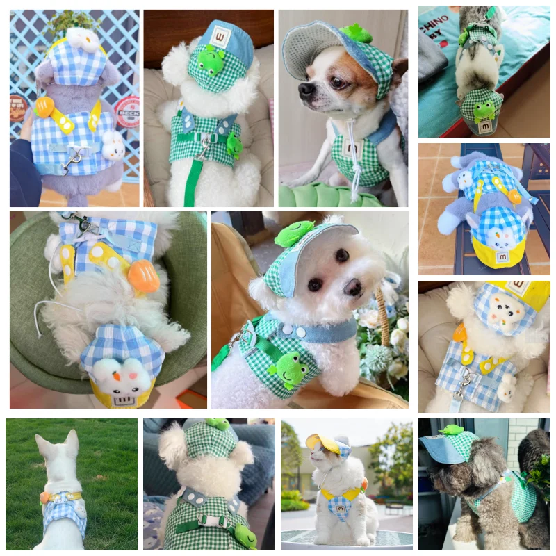 Conjunto de arnés y correa para perro con sombrero para el sol para perro, chaleco a cuadros con rana bonita de verano, arnés para perros pequeños, traje para cachorros, accesorios para perros nuevos - imagen 2