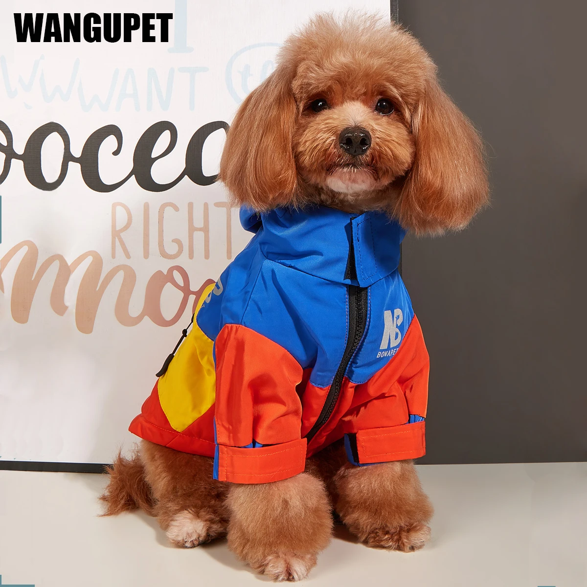 Ropa impermeable para perros grandes, impermeable cálido para invierno para perros medianos y grandes, chaqueta fresca a la moda para perros, traje para Bulldog Francés y Chihuahua