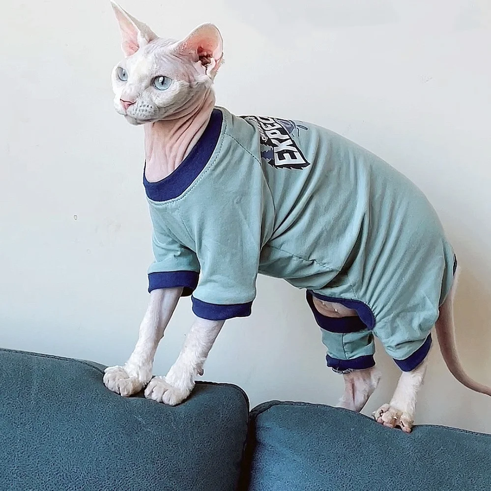 Camiseta de algodón para gato Sphynx y Devon Rex – Manga larga otoñal - imagen 2