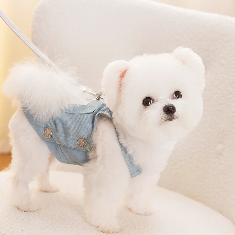 Ropa de otoño para perros pequeños, vestido vaquero a la moda para perros, falda bonita para cachorros, falda con tirantes para gatos suaves y cálidos, ropa para Chihuahua - imagen 3