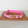 Cat Collar