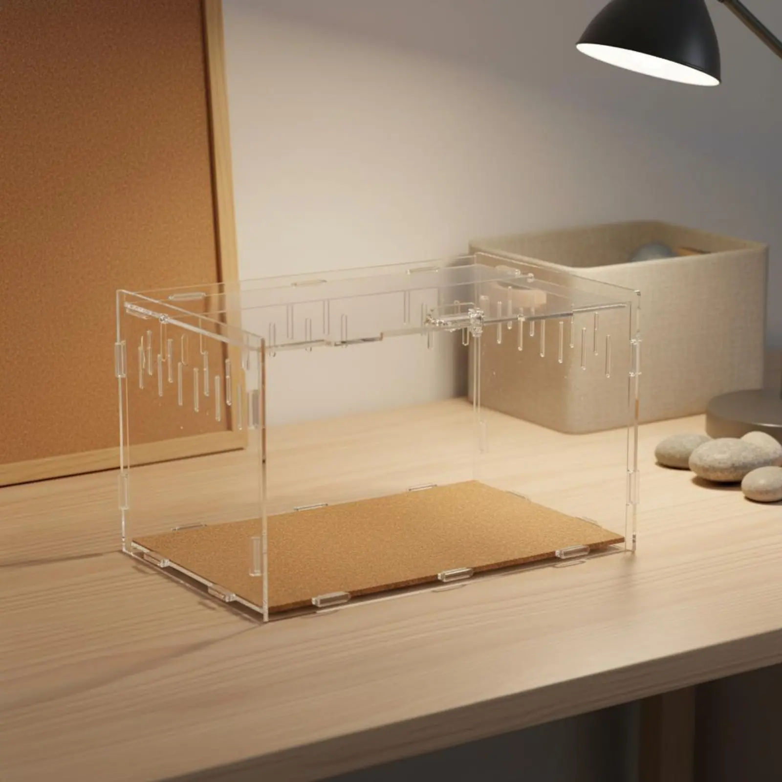 Terrario panorámico 360° para anfibios – Acrílico transparente de alta claridad - imagen 3