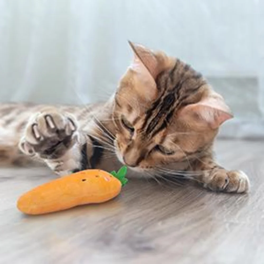 5 juguetes interactivos para gatos, juguetes para masticar, almohada para gatos de interior - imagen 4