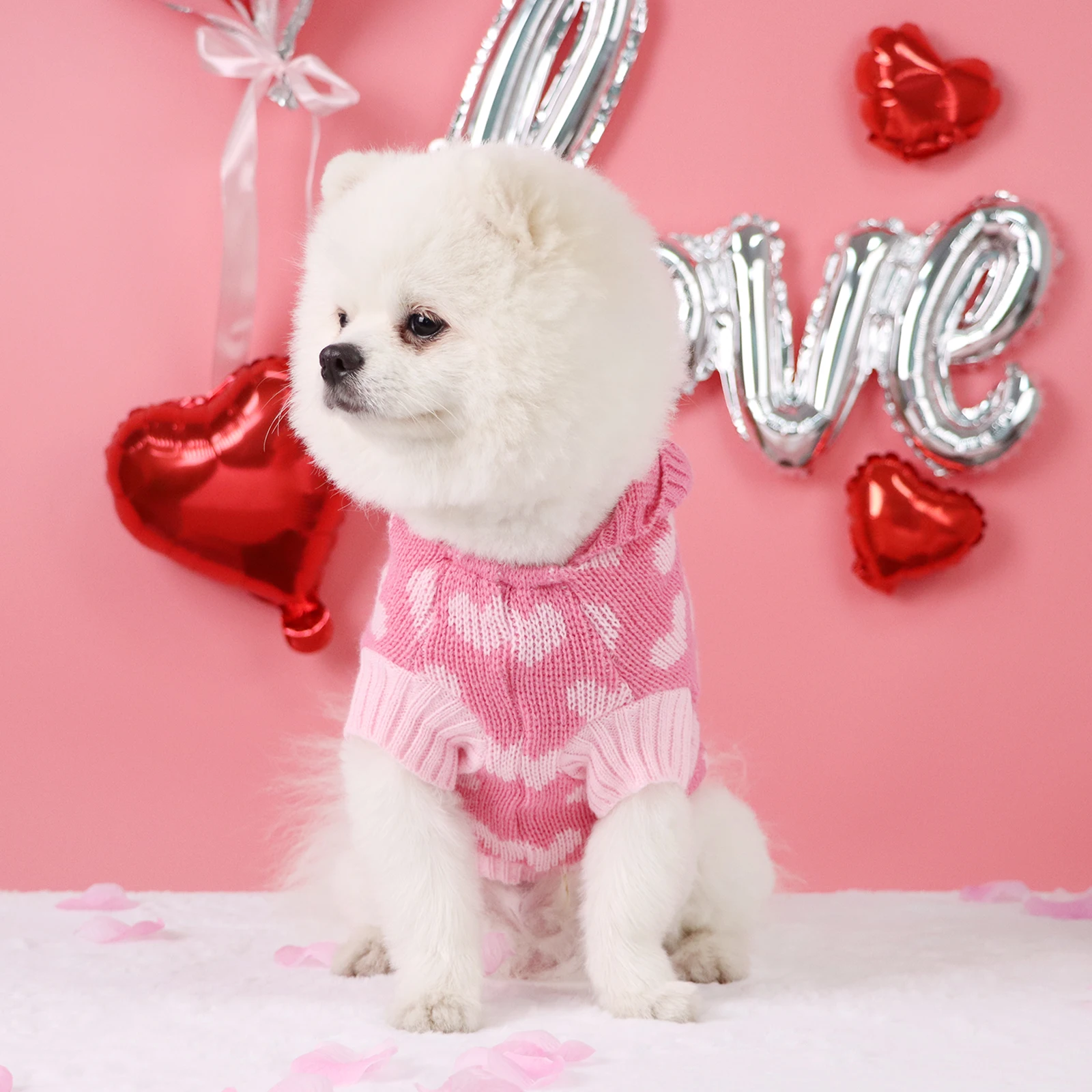 Jersey con capucha para perros pequeños y medianos – Cálido y cómodo para invierno - imagen 2