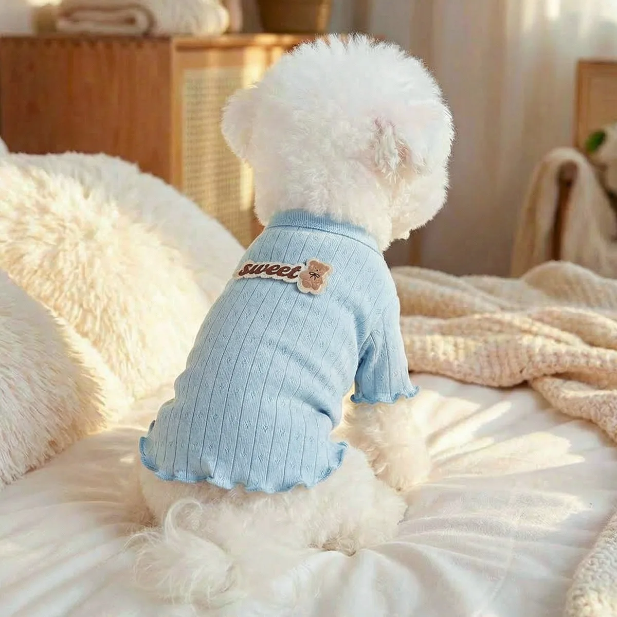 Camiseta primavera transpirable diseño oso perros pequeños y gatos - imagen 5