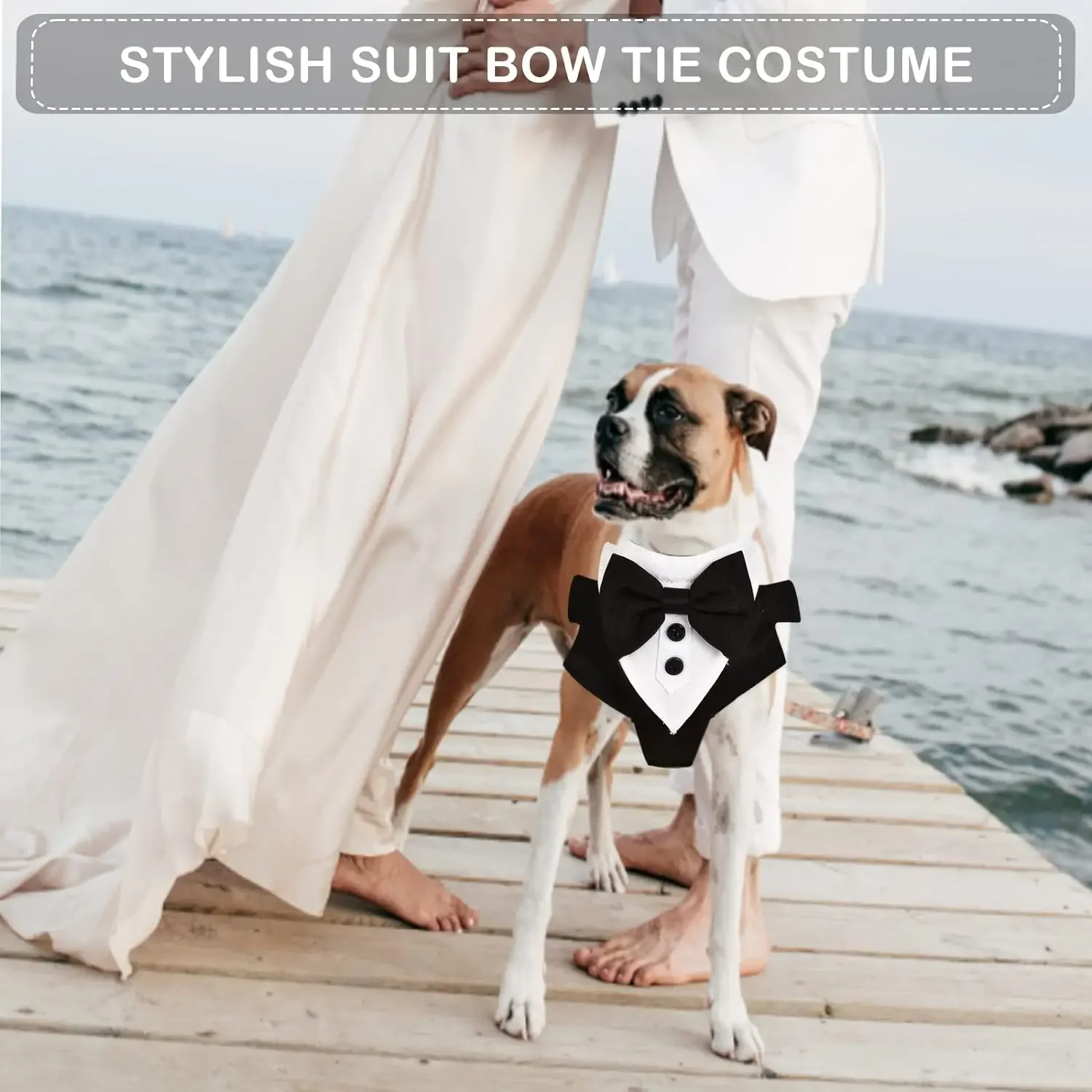 Arnés para fumar para perros de caballero, traje de boda y cumpleaños para mascotas, disfraz Formal, chaleco de malla con pajarita para perros pequeños y medianos - imagen 5