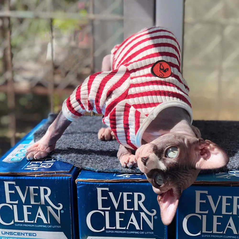 Linda camiseta de gatito, ropa de gato Sphynx con mangas largas, ropa transpirable de uso diario para gatos, pijamas adorables respetuosos con la piel - imagen 2