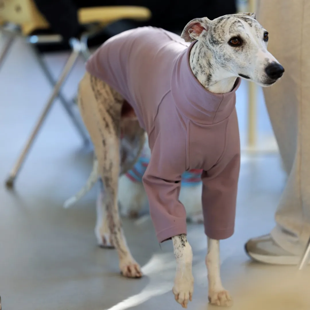 Camiseta rosa suave para perros, sudadera morada para galgo italiano, Top caqui de manga larga para pijama de invierno Whippet para Whippet - imagen 2