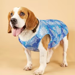 Camiseta verano transpirable para perros – Ropa de uso diario