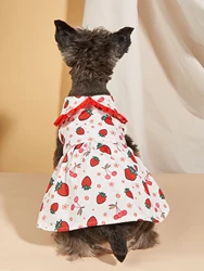 Vestido de perro estampado fresa con volante rojo – Ropa para perros