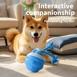 Juguete interactivo automatico para gatos: pelota con cola sintetica