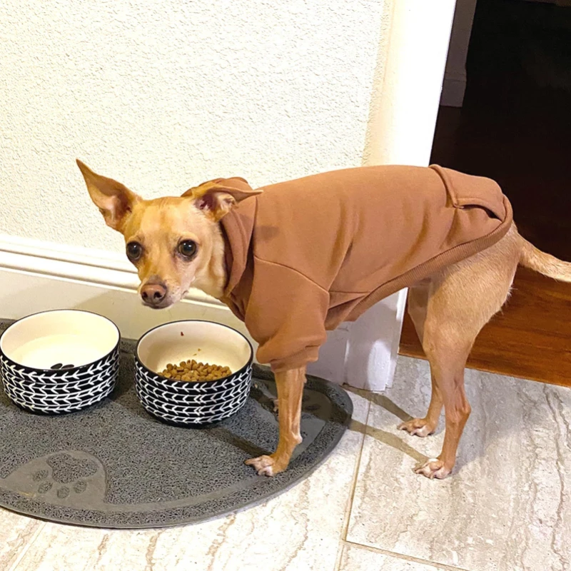 Suéter para perros de dos patas con capucha, sudadera con capucha gruesa y cálida de invierno, ropa acogedora para mascotas con bolsillo para gatos, traje informal para cachorros de otoño