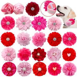 Pajaritas decorativas para perros – Lazos elegantes para tu peludo