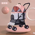 Champagne Orange