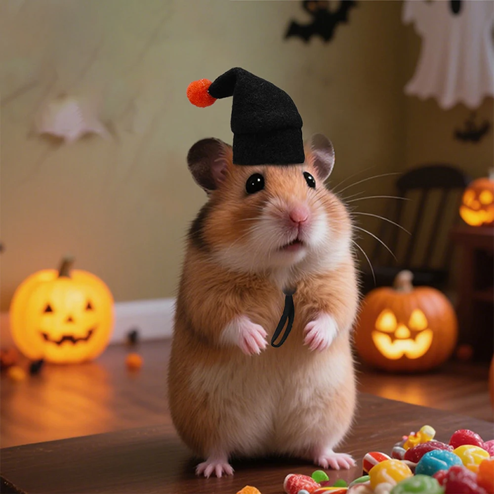 2 unids/set disfraz de hámster de Halloween conjunto sombrero de mago negro y bufanda a rayas para animales pequeños hámster cerdos holandeses accesorio festivo
