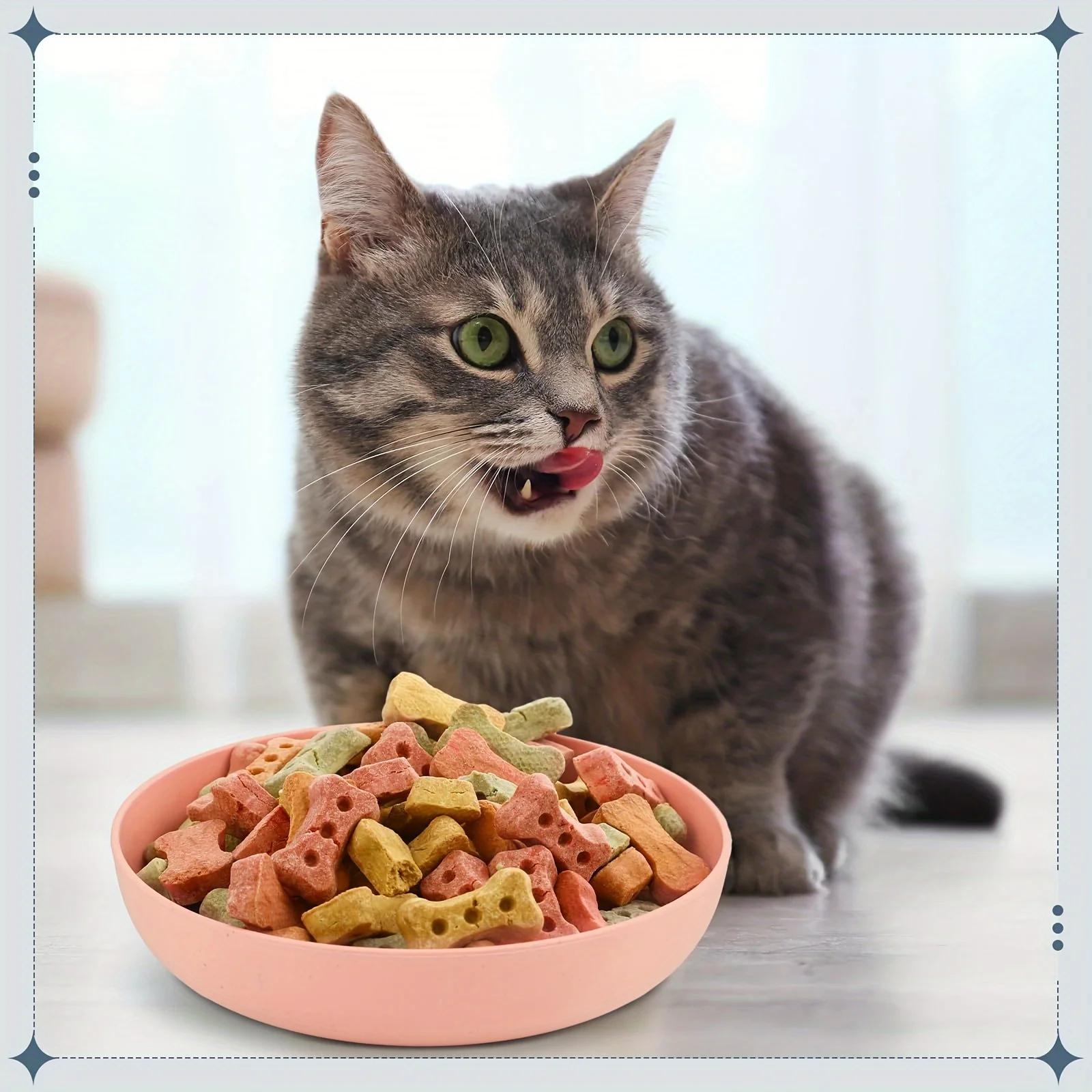 Cuencos para gatos - platos poco profundos coloridos y antideslizantes - imagen 3