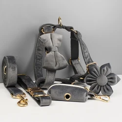 Collar y correa para perros en terciopelo gris con placa grabada