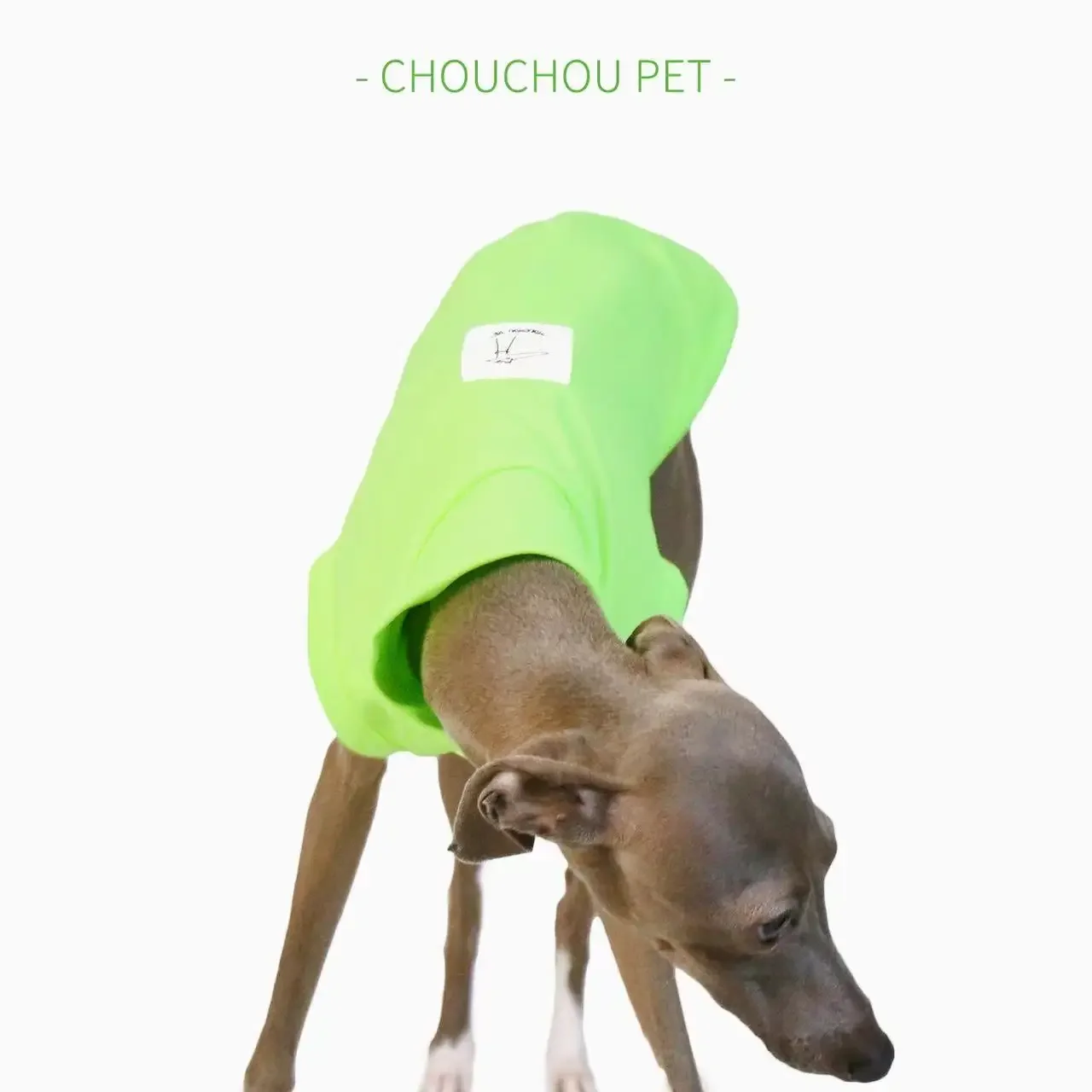 Iggy-Chaleco transpirable para perros pequeños y medianos, ropa para mascotas, protección solar al aire libre, fresco y cómodo, Verano - imagen 3