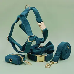 Set paseo perro con arnés verde esmeralda y correa terciopelo