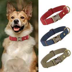 Collar Personalizado para Perros - Nailon, Identificación Gratis