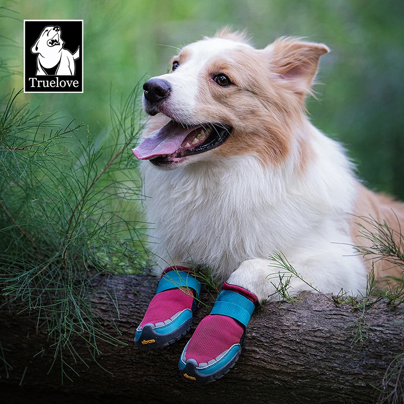 ​ Botas reflectantes para perros para correr, suela antideslizante duradera, comodidad impermeable, botas para caminar de seguridad nocturna para mascotas, 2/4 Uds. - imagen 5