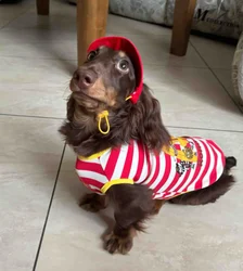 Abrigo con sombrero para perro salchicha – Prenda tejón rayas rojas