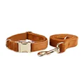 collar and leash set