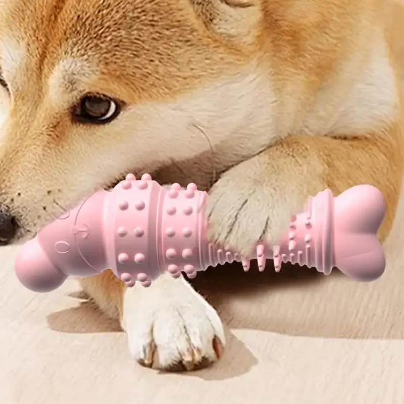 Juguete de masticar oso para gatos y perros – Resistente e interactivo