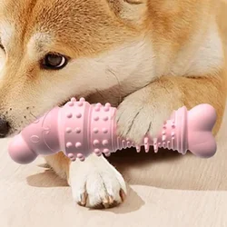 Juguete de masticar oso para gatos y perros – Resistente e interactivo